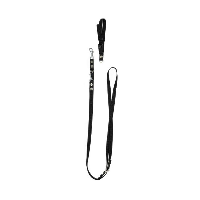 Chrisco Halsbånd & dressurline i nylon, 220 cm/15 mm, sort