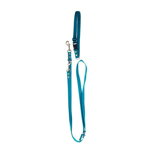 Chrisco Halsbånd & dressurline i nylon, 220 cm/20 mm, blå