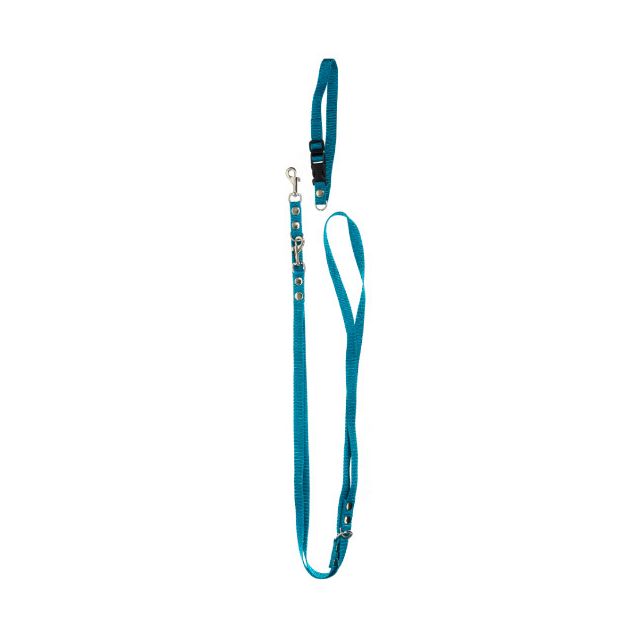 Chrisco Halsbånd & dressurline i nylon, 220 cm/15 mm, blå