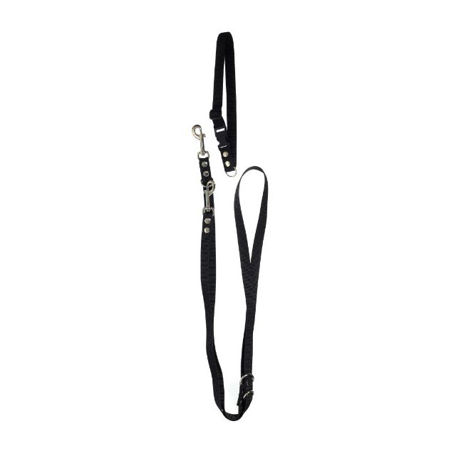 Chrisco Halsbånd & dressurline i nylon, 220 cm/20 mm, sort